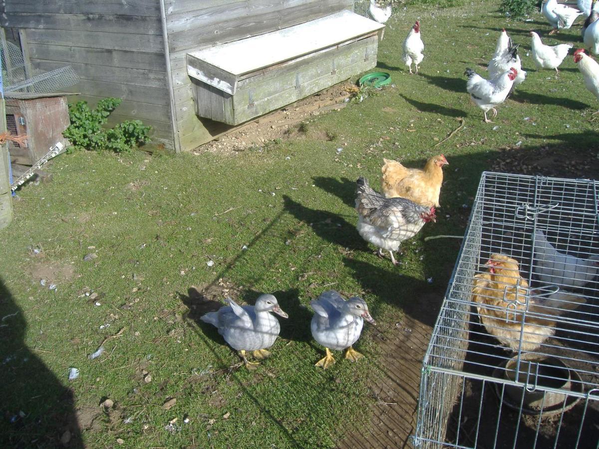 South Moor Farm Bed & Breakfast Scarborough Bagian luar foto